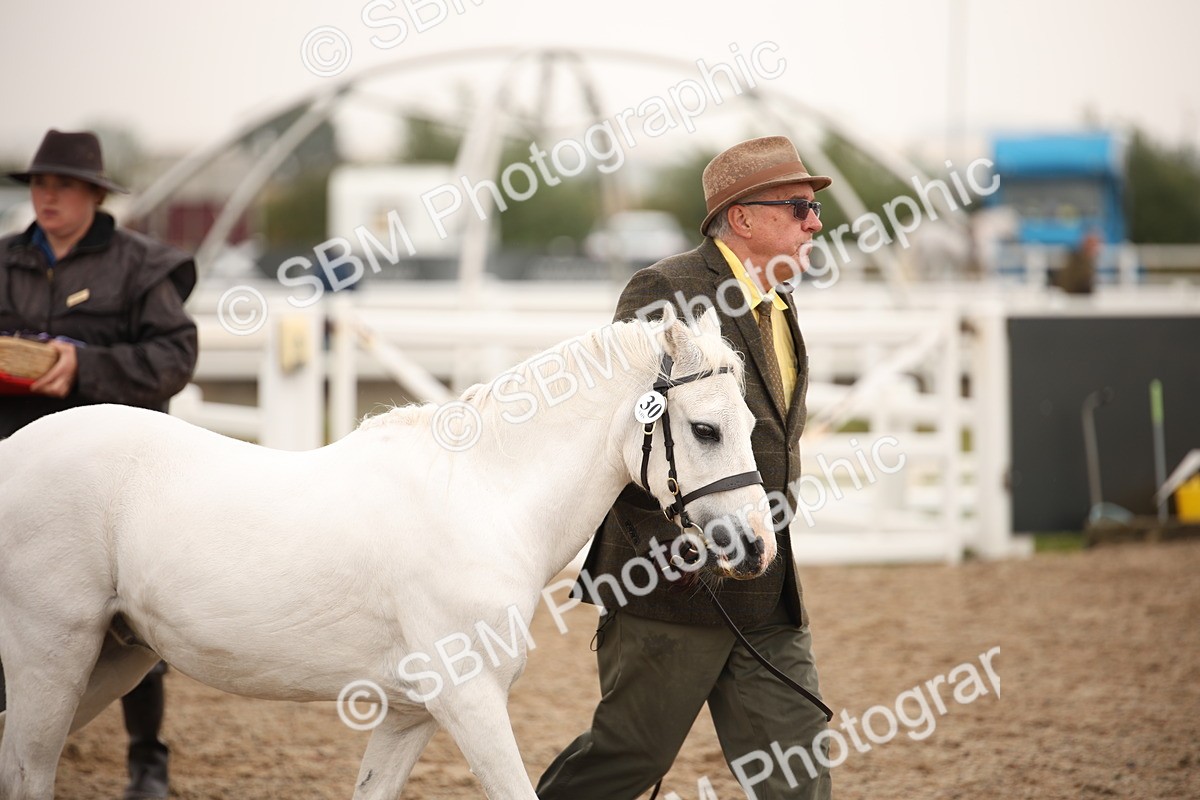 SBM_20725 - Class 705 - IH  Combination 65+
