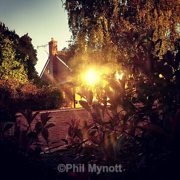 PhotoMynottART050 - Photo Mynott ART Images
