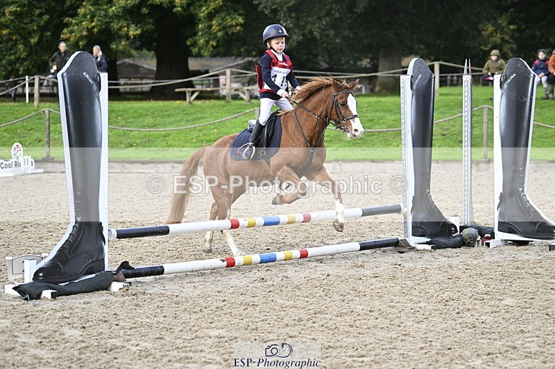 251005A-090730-02948 - Cls 02 GR 50cm