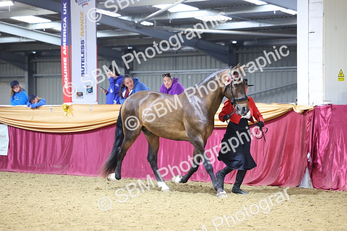 SBM_20788 - Class 902 - Supreme Final IH Veteran