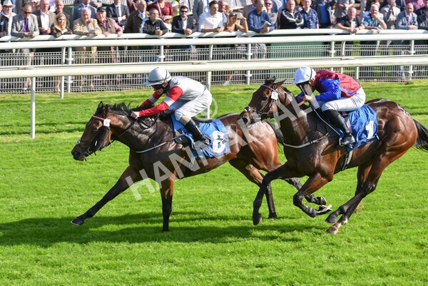 yr08102021r1-25 - Race 1 2.05pm Parsonage Hotel and Cloisters Spa Nursery Handicap