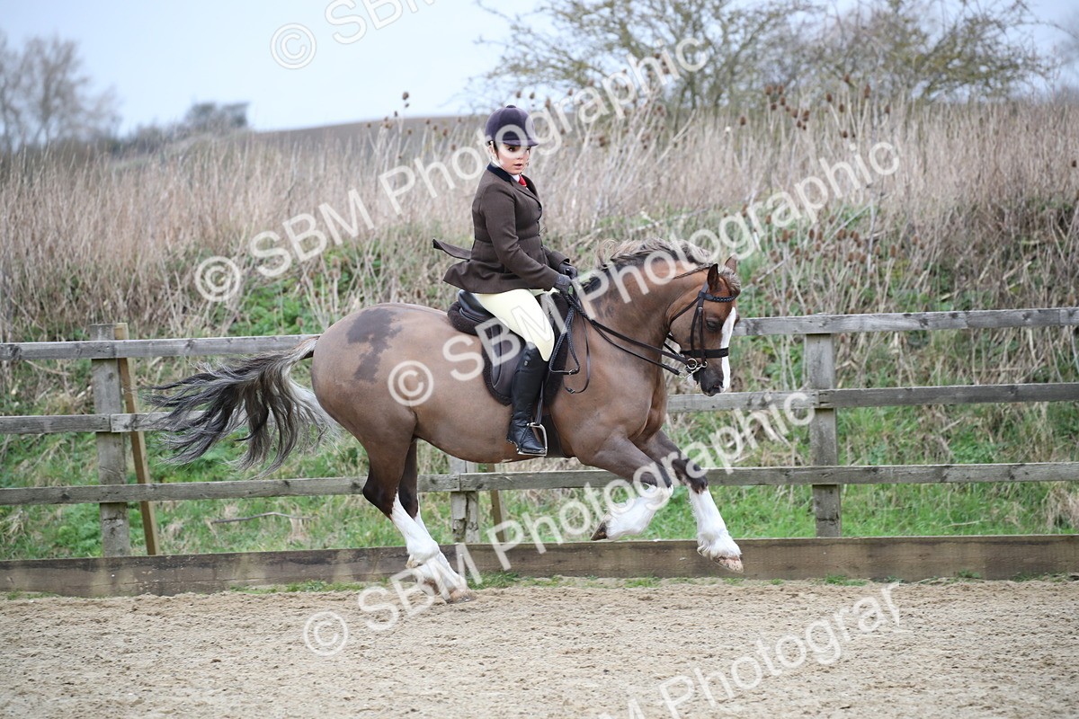 SBM_006125 - Class 10-13 - RIHS Small Large Breeds