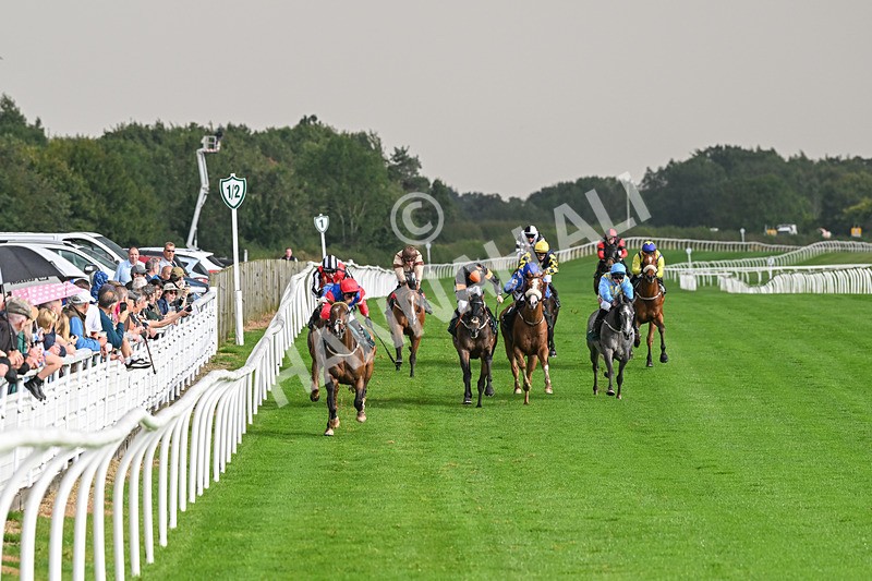 280824-Race 4-Desert Dream-4339 - Race 4