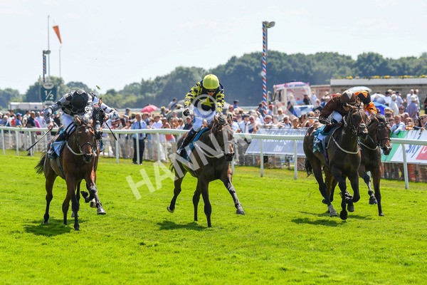 160623-Race 2-Celestial Flight-0293 - Race 2 2.25pm SKF Rous Selling Stakes