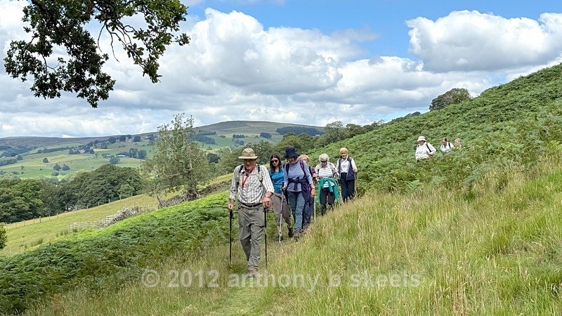 057  Entering Longside Wood - York Minster Walkers Collection 2025