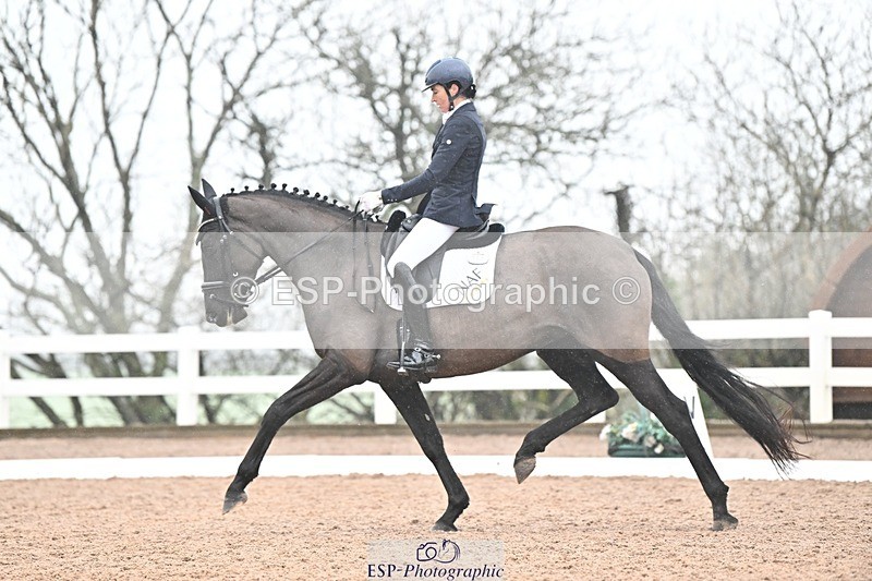 250215-133124-03878 - 165-Elder.Klatzko-Dynasty.Hit