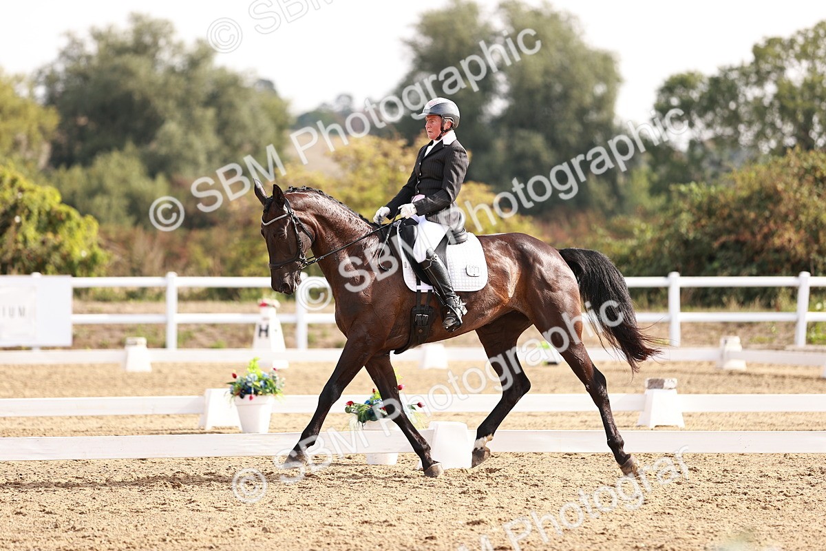 SBM_016984 - Class 10 - Medium 6