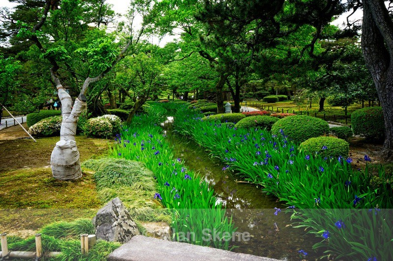 DSC05247 - Kanazawa