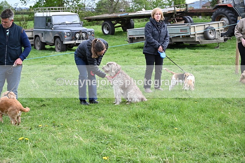 WJ6_8066 - Class 2 Best Pedigree