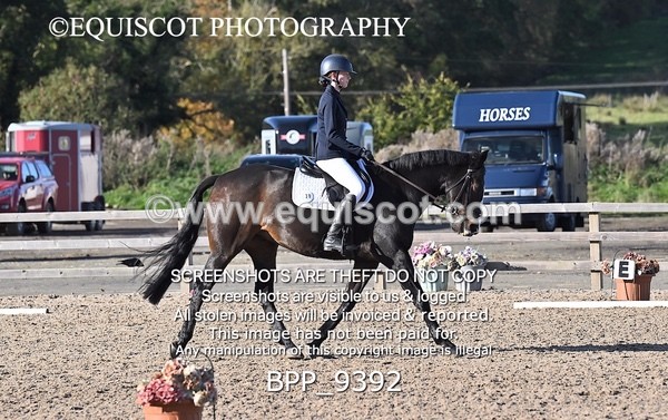 BPP_9392 - SHORT ARENA