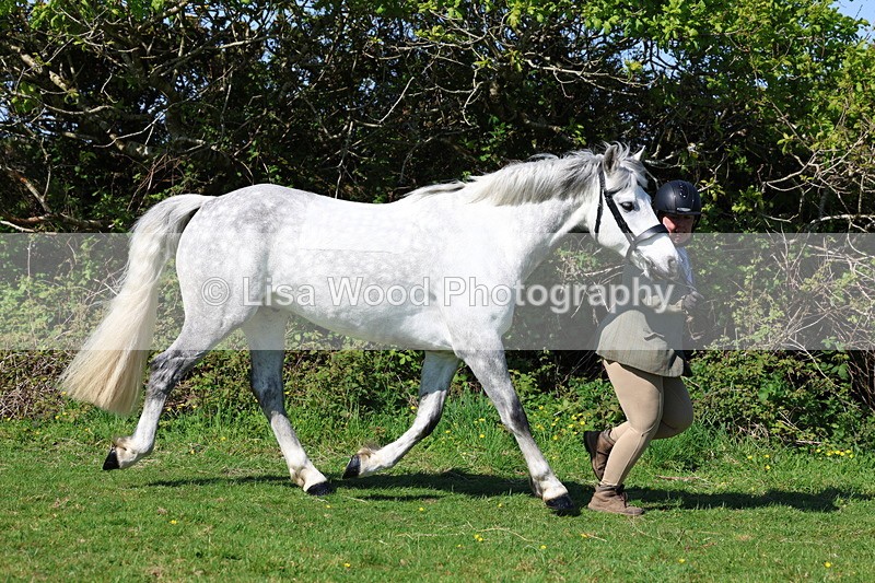 3E7A9377 - Class 16: Best Grass Kept