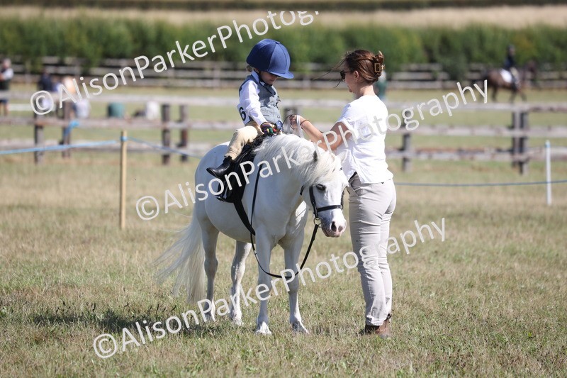 20260906-2301 - Class 16 - Family Pony