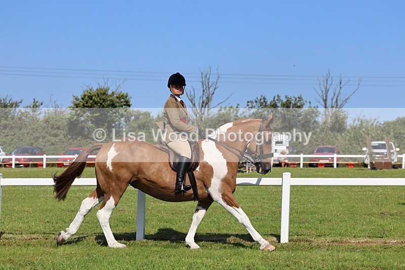 IMG_1636 - Skewbald and Piebald Ridden Championship