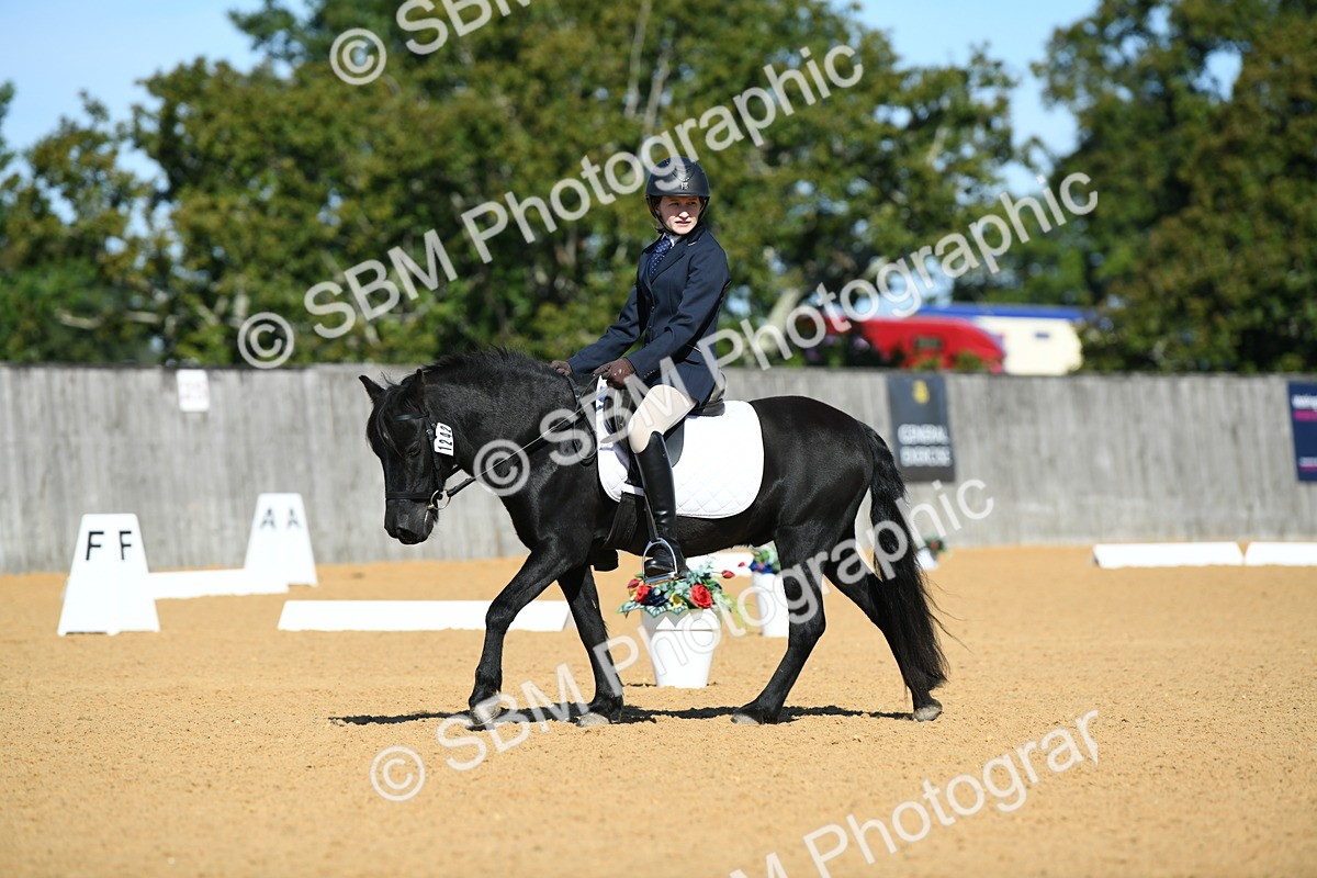 SBM_18197 - D4 - Small Tour Championship - Intro B