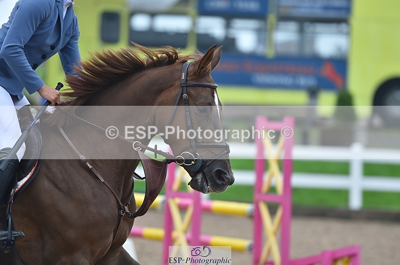 230916A-103658-03463 - Cls 21 British Novice & 90cm Open