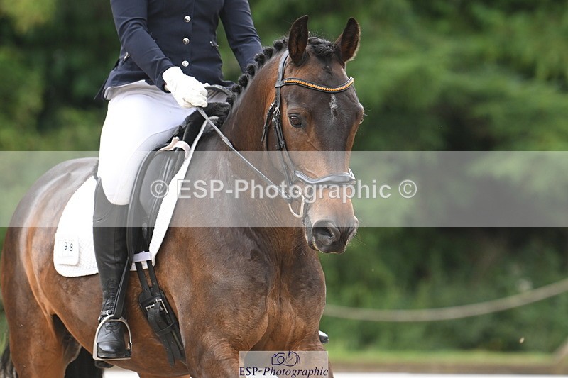 250720A-121517-10200 - 098-Becky.Littleton-Optical.Illusion