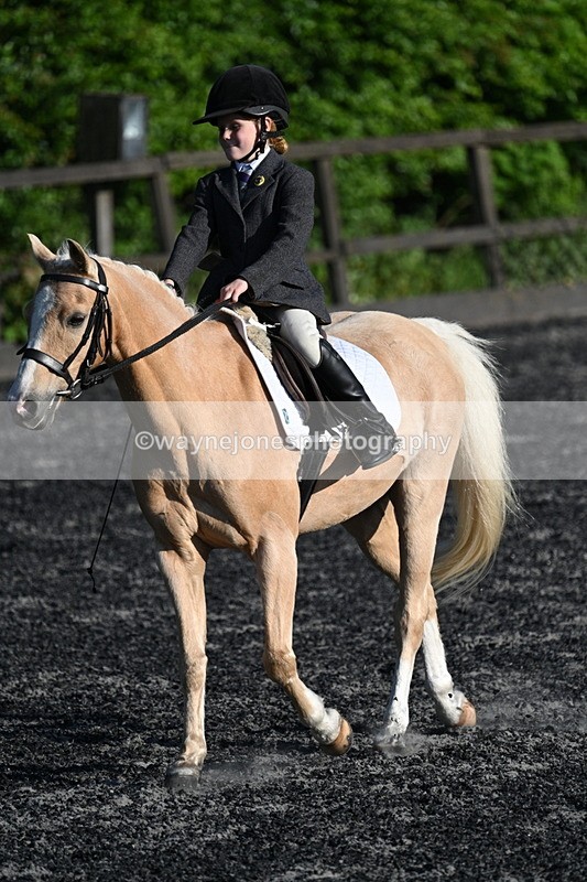 WJ7_4586 - Class 2 Prelim 1