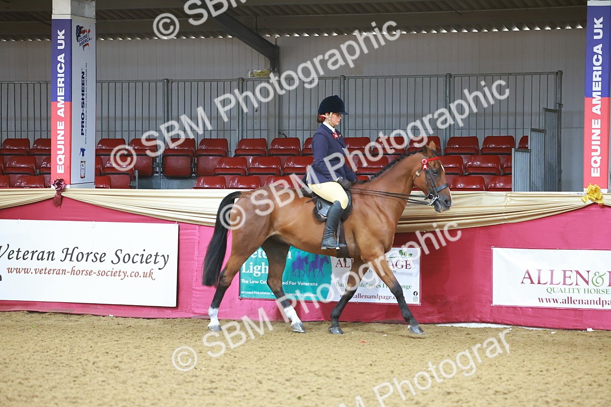 SBM_07573 - Class 101 - HOYS Veteran Qualifier - Ridden Diamond