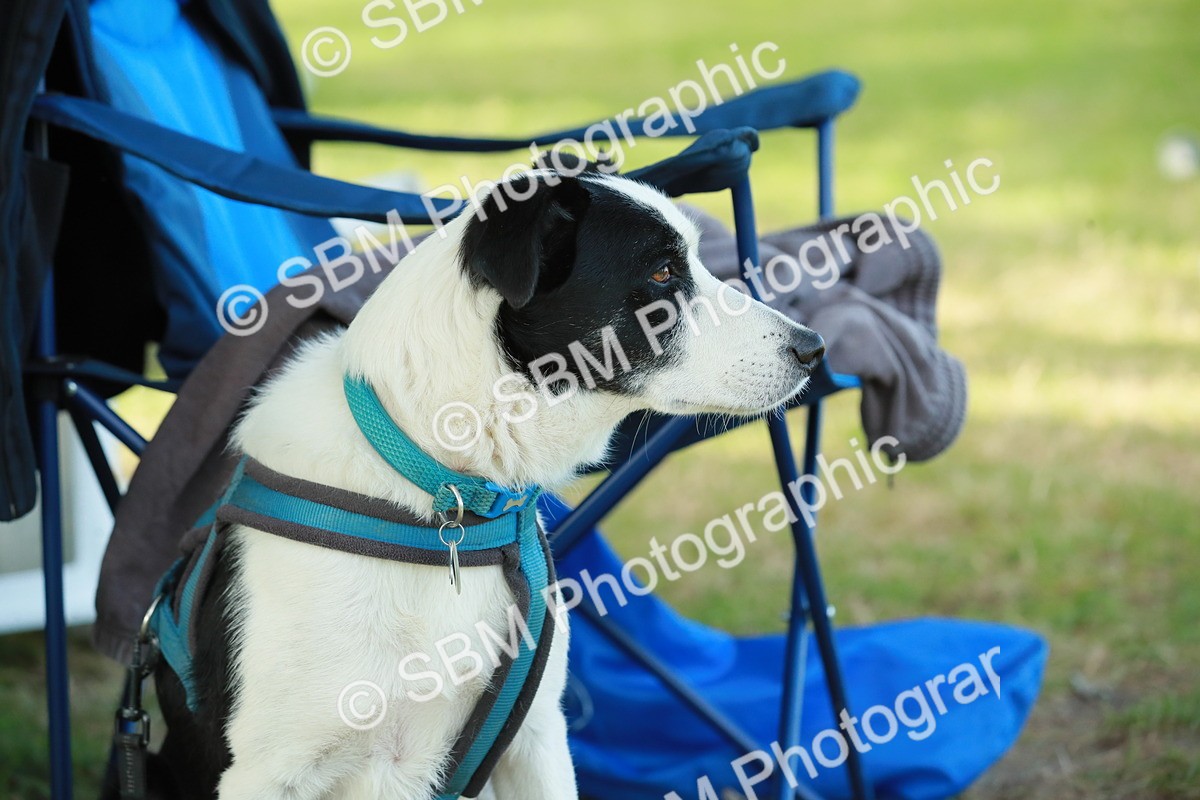 SBM_21853 - E11 - Eventers Challenge 60cm Championship