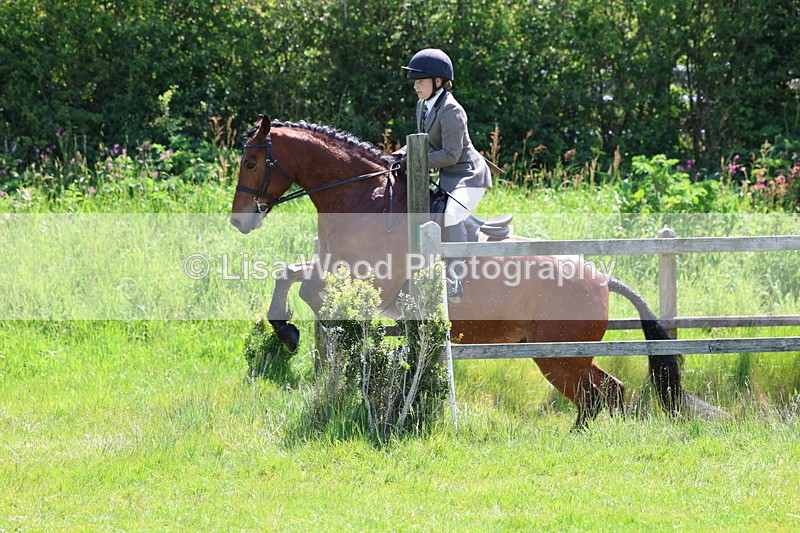 3E7A6963 - Class 30: Novice Working Hunter
