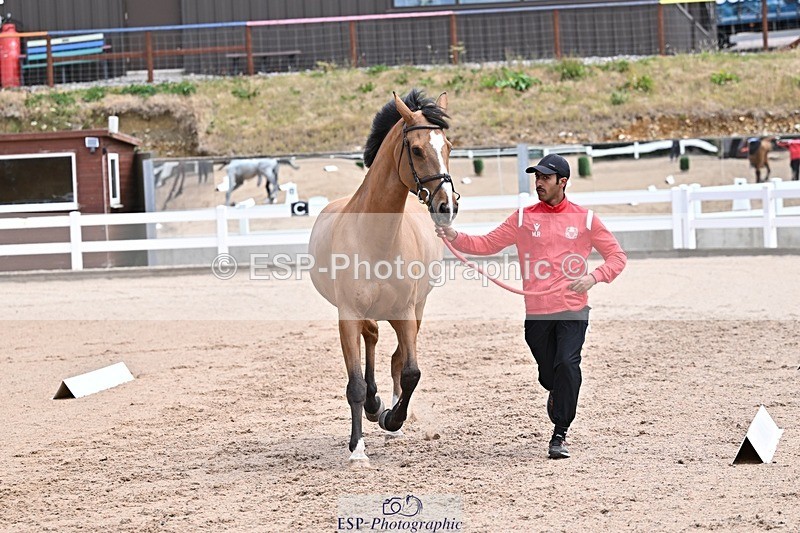 250716-130329-00293 - Trot Up 12.30 to 1.30
