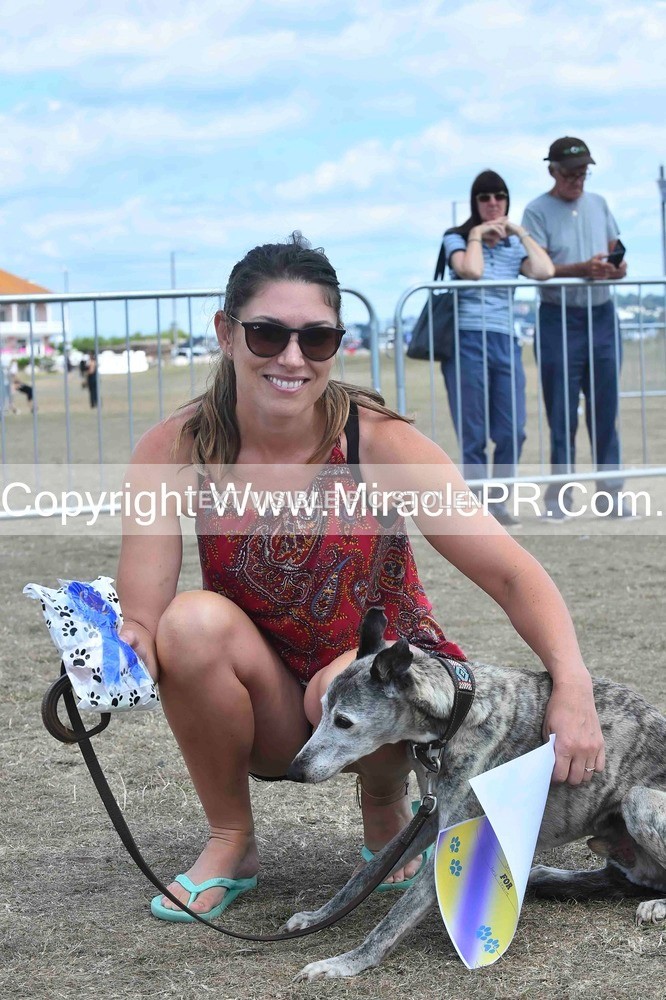 SH4_0193 - Dog show.