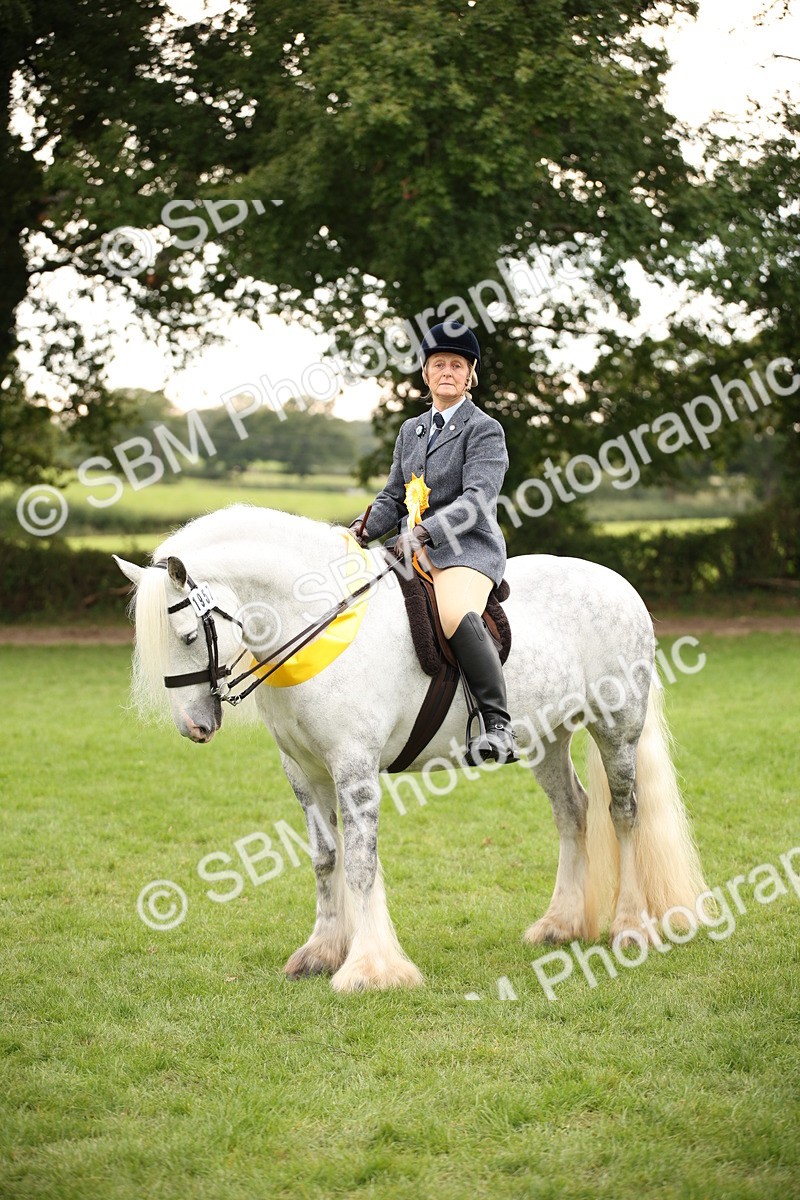 SBM_73592 - S68 - Traditional Cob Ridden