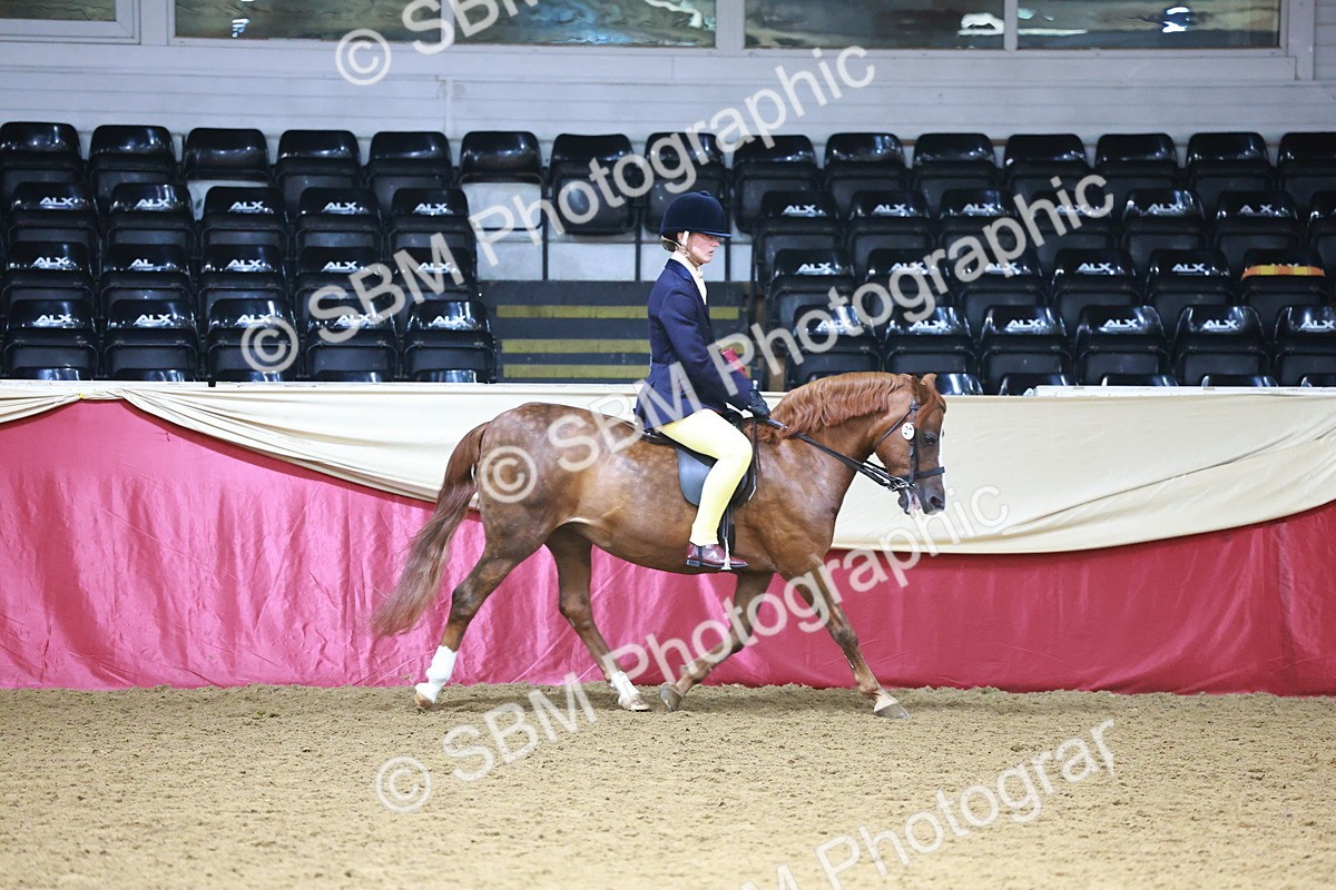 SBM_23321 - Class 904 - Supreme Final - Ridden Diamond