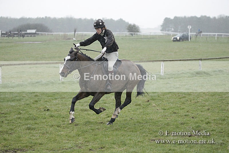 PtP 150320 0057 - New Forest Point-to-Point Larkhill 15/03/20