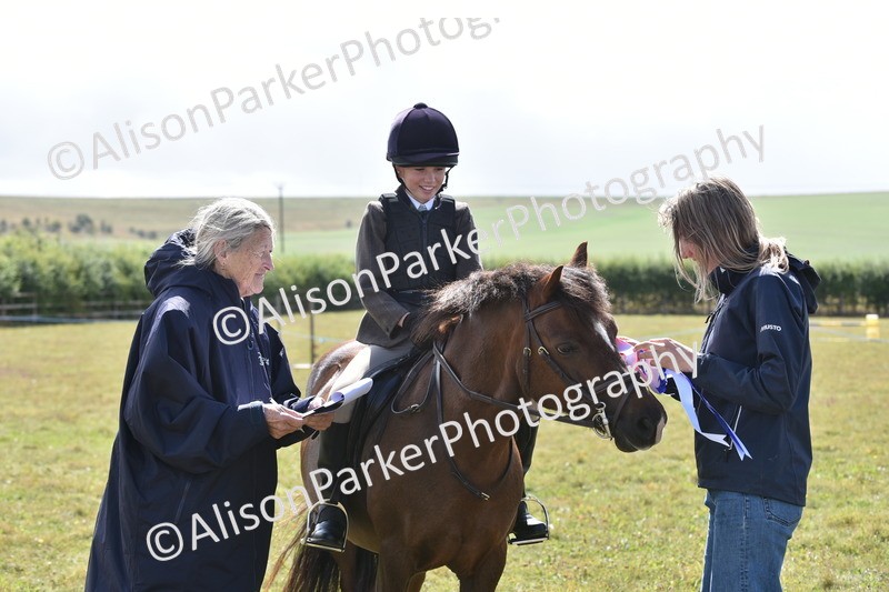 20250831-3953 - Class 11 - Working Hunter Pony 13hh and Under