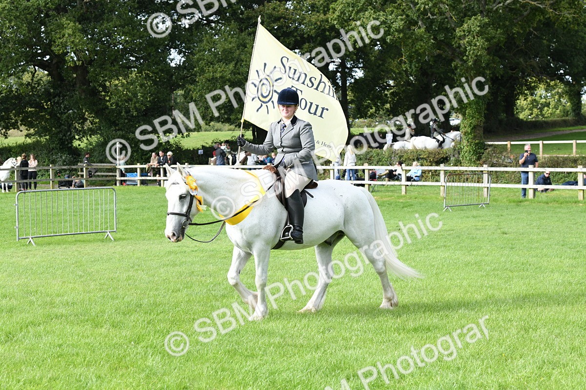 SBM_47260 - S12 - Family Horse & Pony