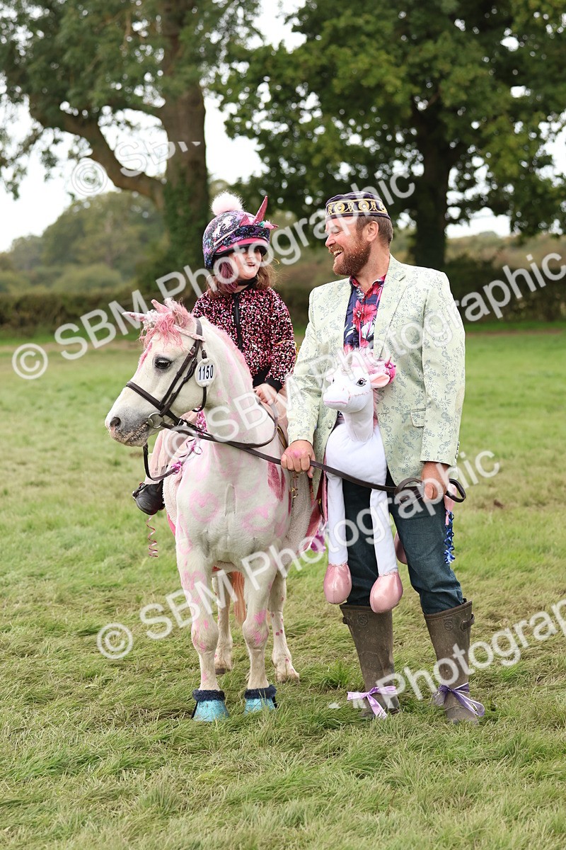SBM_62173 - S37b - Best Unicorn