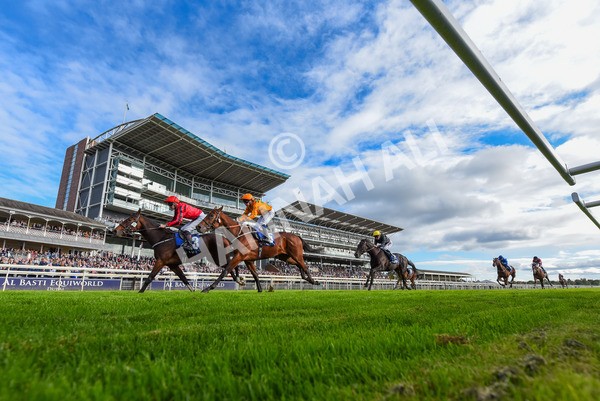 141023-Race 4-Colorada Dancer-4043 - Race 4 3.05pm Coral Racing Club EBF Maiden Stakes