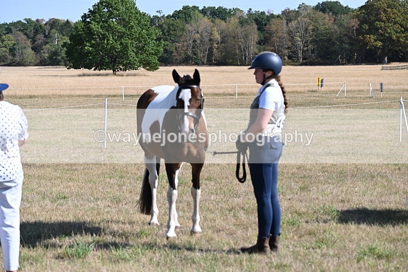 WJ6_4307 - Class 16 Condition & Turn Out