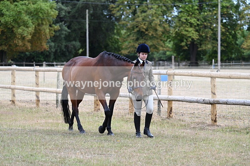WJ7_8953 - Class 4a Prettiest Mare 14.2hh and over