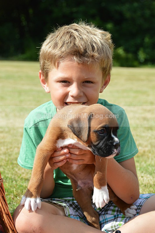  - Boxers