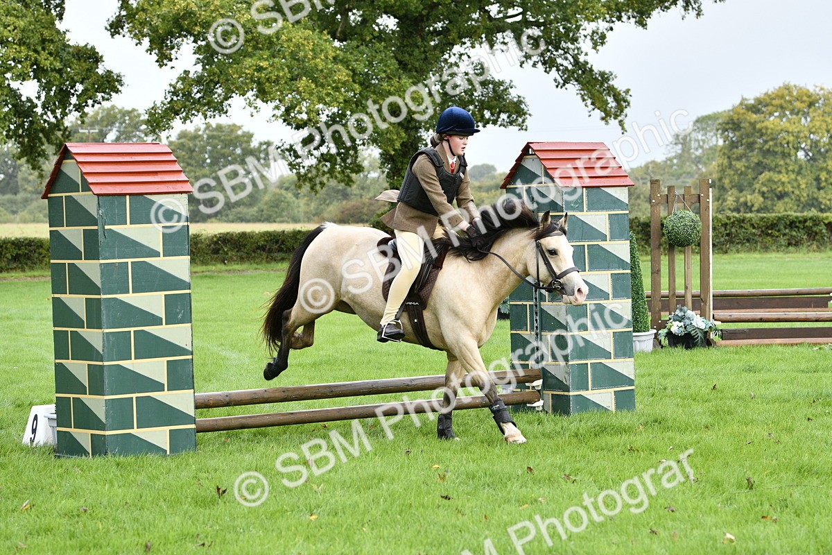 SBM_35421 - S30 - Nursery Stakes Working Hunter Pony