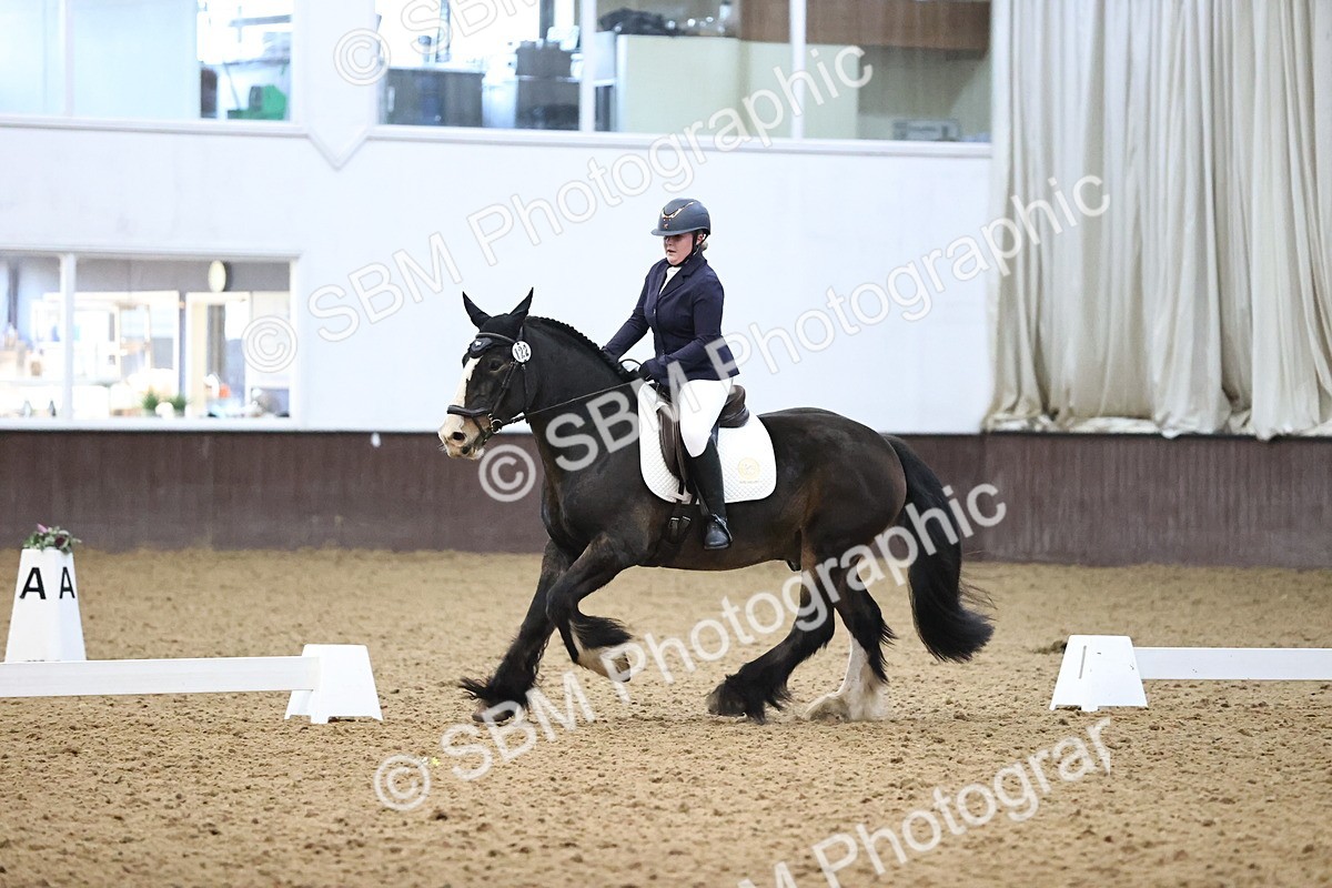 SBM_004301 - Intermediate