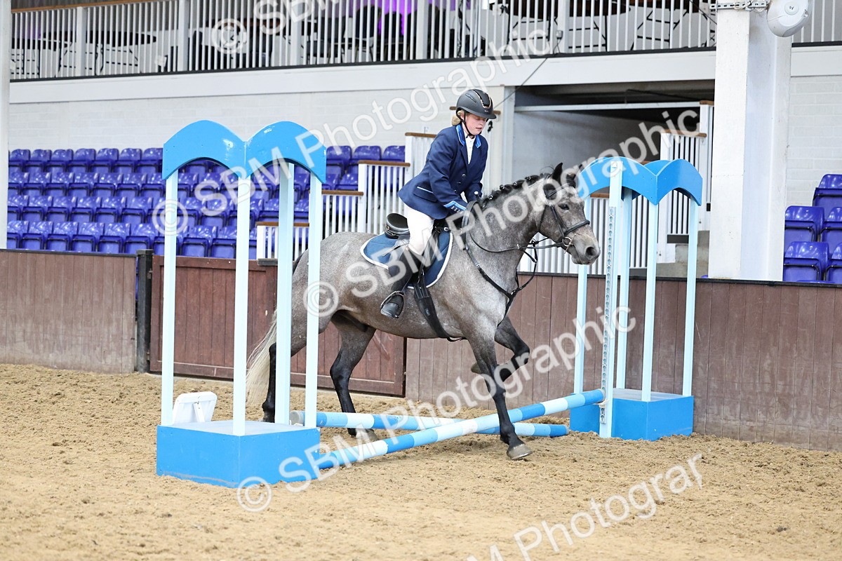 SBM_007020 - Class 1 - 40cm showjumping