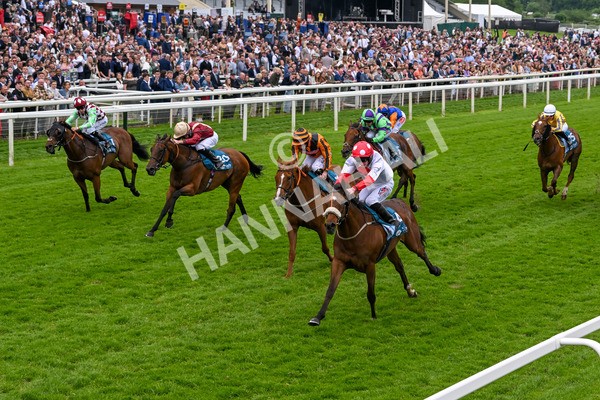 250524-Race 7-Feel The Need-4382 - Race 7 5.05pm Alf Duffield Memorial Handicap