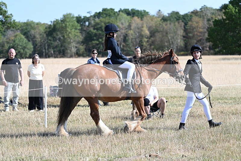 WJ7_3010 - Class 8 Ridden Tack & Turnout