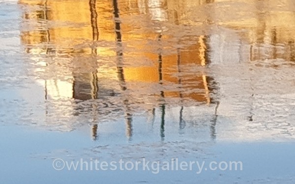  - NEW Winter Reflection