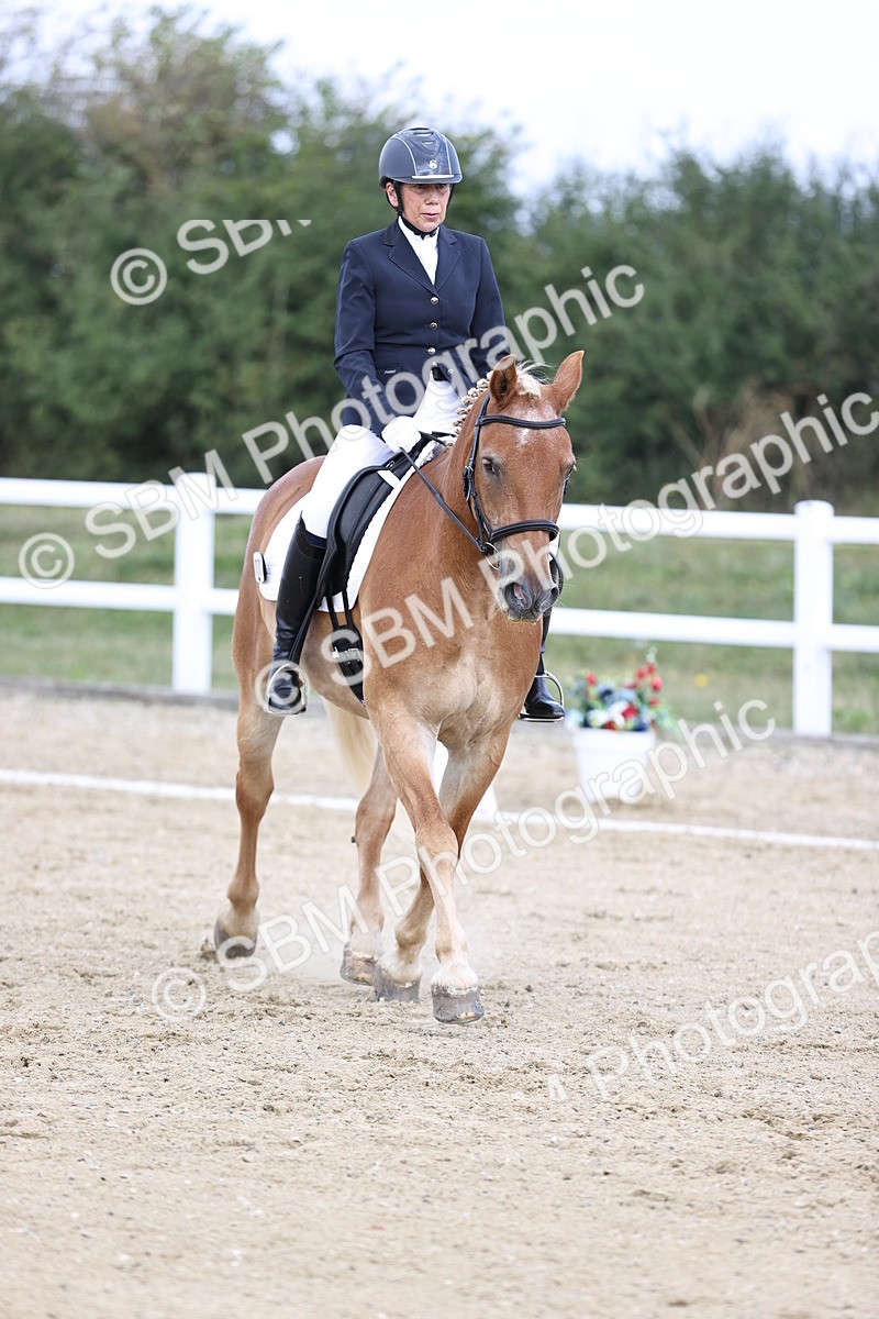 SBM_016763 - Class 14 Novice 23 - 11.53-12.56