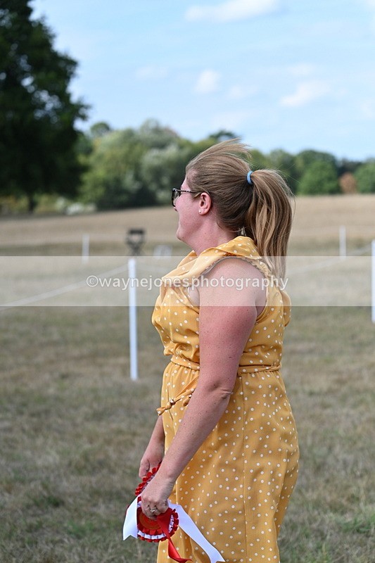 WJ7_6570 - George ...