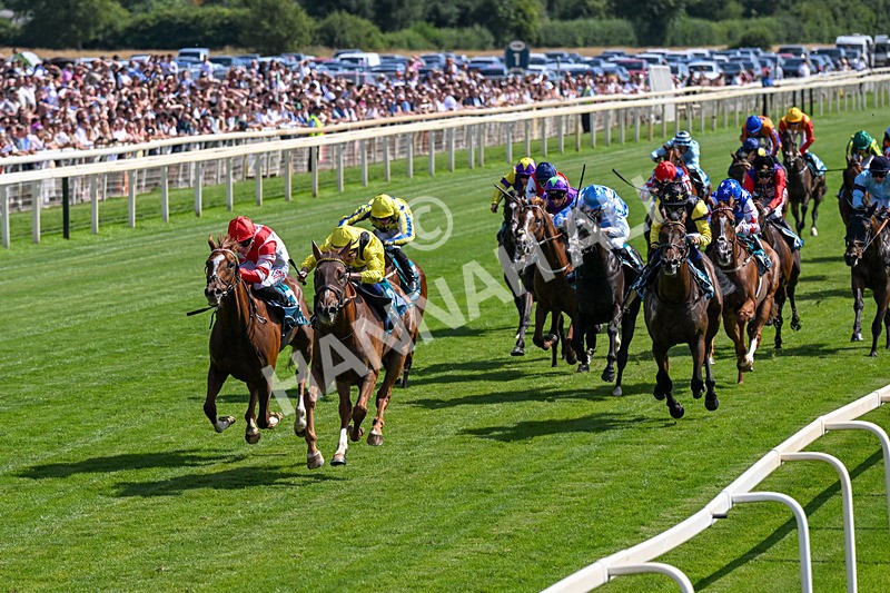 110726-Race 4-Raammee-0241 - Race 4 15.45pm John Smith's Cup