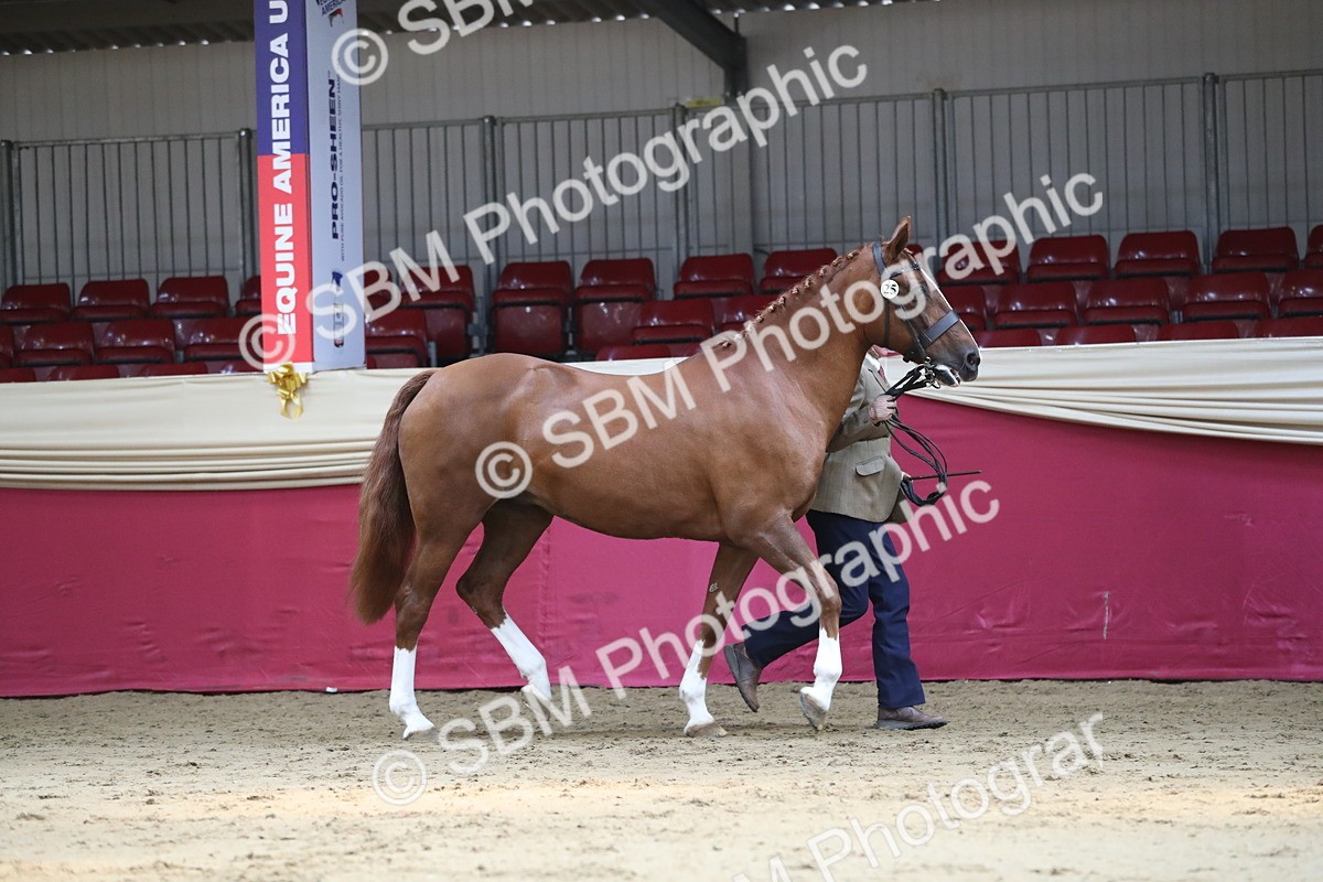 SBM_04339 - Class 7R Regional - IH Diamond