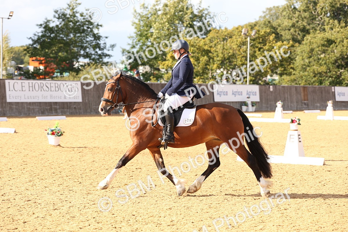 SBM_27007 - D17 - Grand Tour Championship Novice 3