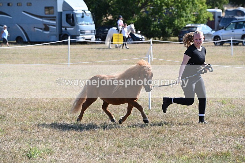 WJ6_7269 - Class 33 Rescue Pony