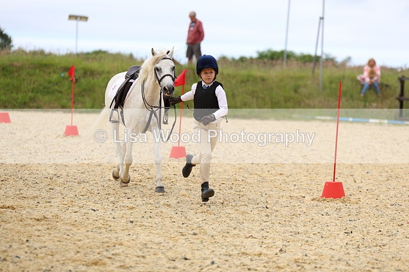 3E7A9619 - Walk trot run