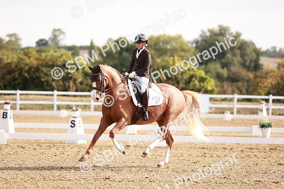 SBM_016861 - Class 10 - Medium 6